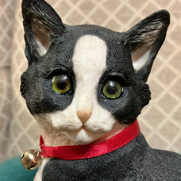 Beautiful black and white kitten sitting - Picture 2 of 11